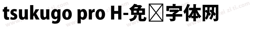 tsukugo pro H字体转换